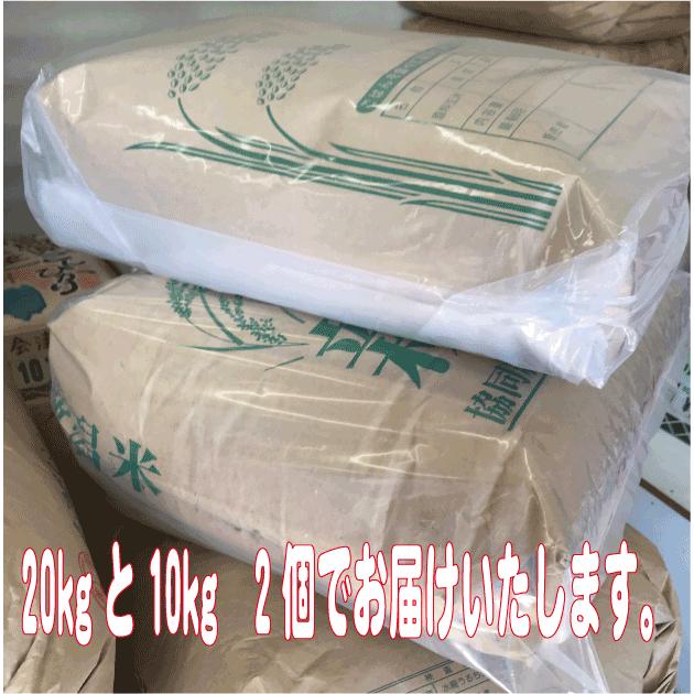 あきたこまち 令和8年産 玄米30kg 送料無料 茨城あきたこまち : お米