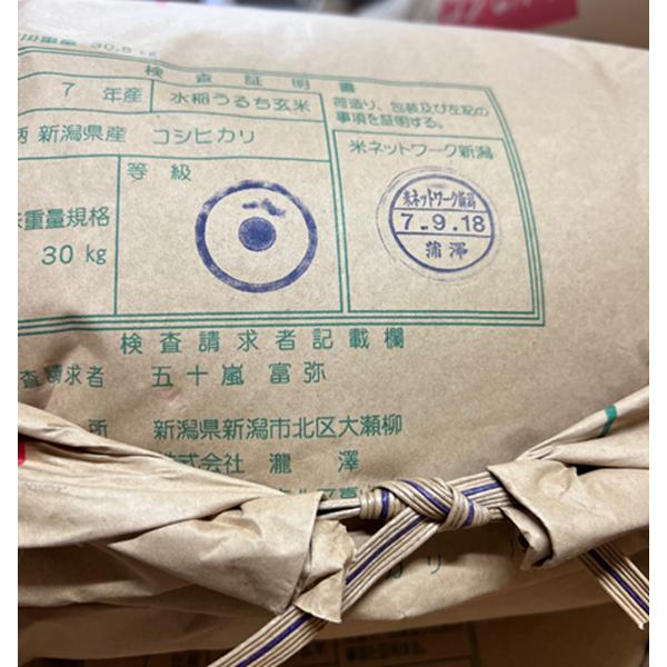 コシヒカリ 令和7年産 玄米30kg 新潟県産コシヒカリ : お米の金子