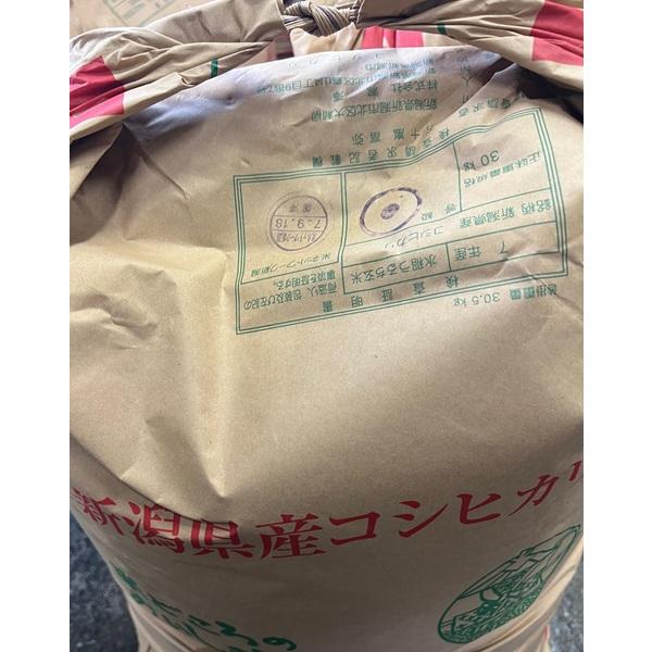 コシヒカリ 令和7年産 玄米30kg 新潟県産コシヒカリ : お米の金子