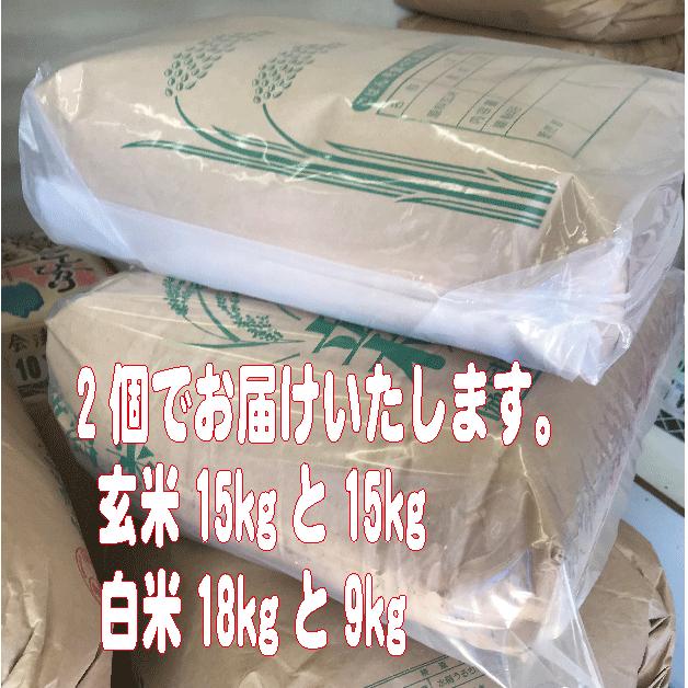 コシヒカリ 令和7年産 玄米30kg 新潟県産コシヒカリ : お米の金子
