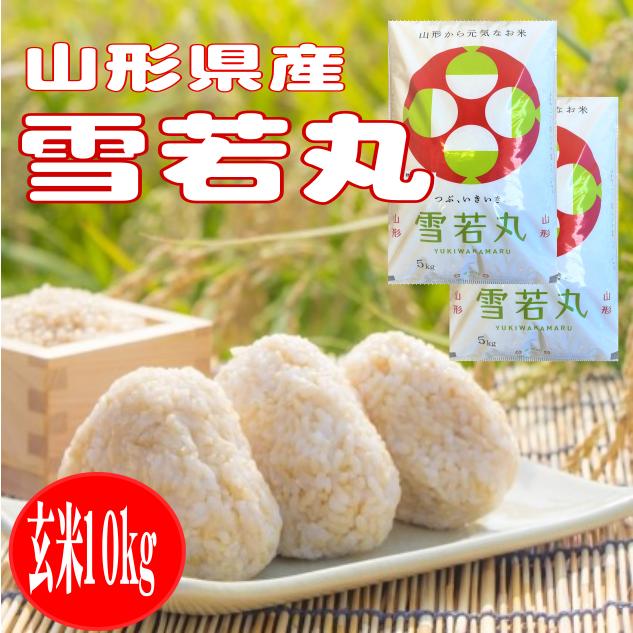 雪若丸　10kg 玄米　山形　令和7年　特別栽培米 令和7年産 10kg 特別栽培米 山形県産雪若丸 : お米の金子ヤフー店