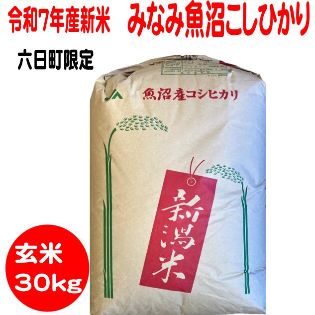 コシヒカリ 令和7年産 玄米30k 送料無料 みなみ魚沼こしひかり : お米