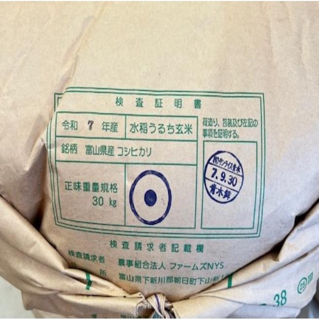 コシヒカリ 玄米30kg 令和7年産 富山コシヒカリ : お米の金子ヤフー店