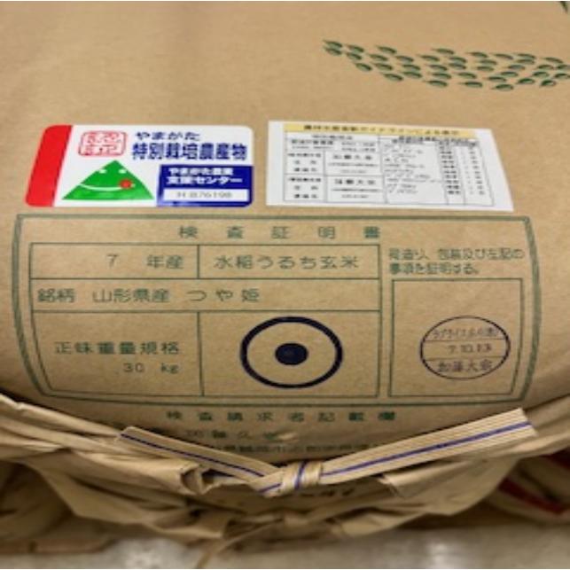 つや姫 令7年産 玄米10kg 送料無料 特別栽培山形つや姫 : お米の金子