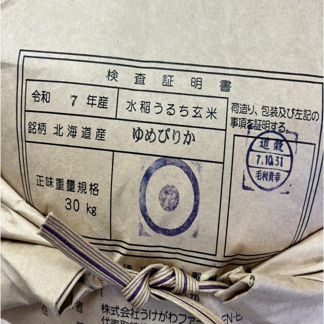ゆめぴりか 令和7年産 【玄米30k】 送料無料 北海道ゆめぴりか : お米 