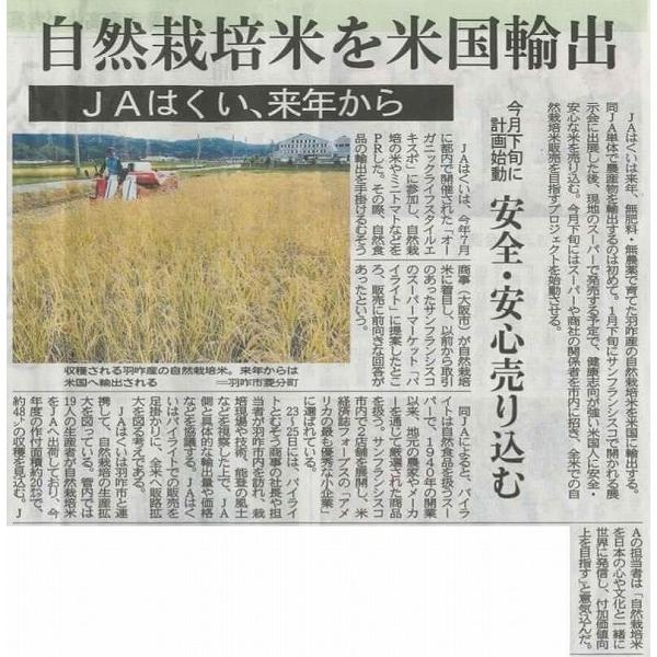 石川県産はくい自然栽培米　玄米5ｋｇ｜okomenokimochi｜14