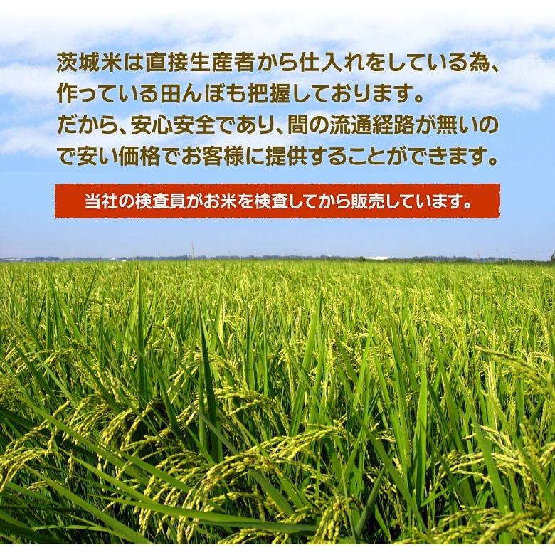 コシヒカリ 米 お試し米 お米 白米 茨城県 2kg 6年産 送料無料 コシヒカリ 米 お試し米 お米 白米 茨城県 2kg 6年産 送料無料