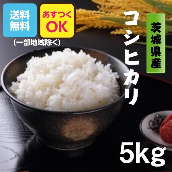 コシヒカリ 新米 米 お米 5kg 白米 玄米5kg 白米4.5kg 茨城県産