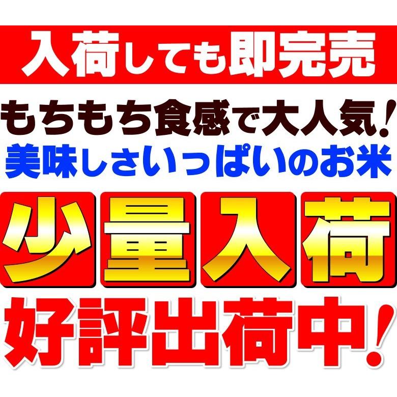 ミルキークイーン10kg 直ぐにお支払い可能な方のみ申請お願い致します お米 新潟産ミルキークイーン10kg 令和6年産 | 新潟のお米専門店