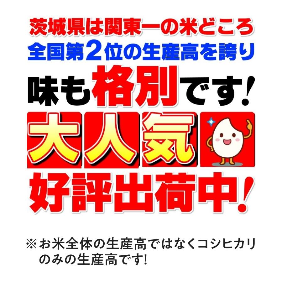 コシヒカリ 米 お米 10kg 5kg×2 茨城県 白米 6年産 送料無料 一 コシヒカリ 米 お米 10kg 5kg×2 茨城県 白米 6年産 送料無料 一