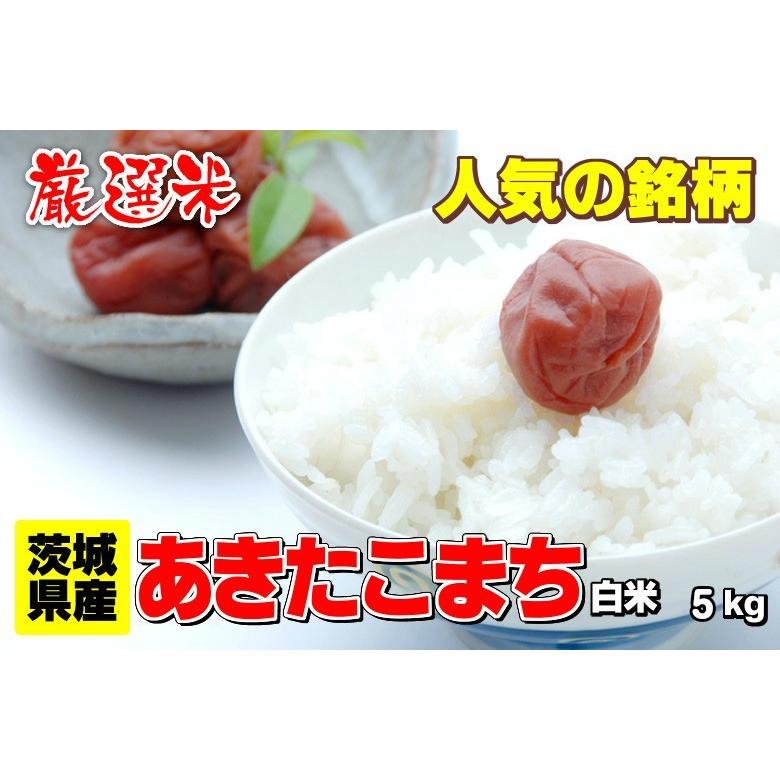 あきたこまち 米 お米 茨城県産 6年産 白米 5kg 送料無料 一部 あきたこまち 米 お米 茨城県産 6年産 白米 5kg 送料無料 一部