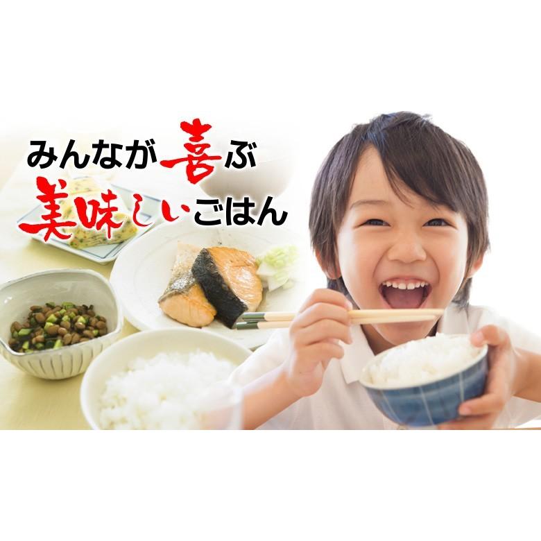 米 お米 あきたこまち 茨城県産 4年産 白米 5kg 送料無料 一部地域除く :10000048:おこめの木村 - 通販 - Yahoo