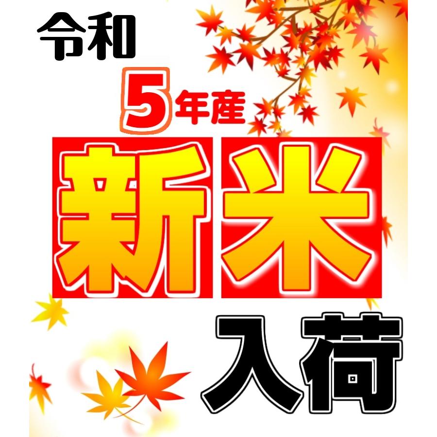 米 お米 あきたこまち 茨城県産 5年産 白米 10kg 送料無料 一部地域除く｜okomenokimura｜02