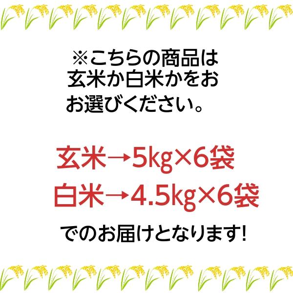 コシヒカリ 米 お米 玄米30k 5kg×6 白米27k 4.5k×6 茨城県 6 コシヒカリ 米 お米 玄米30k 5kg×6 白米27k 4.5k×6 茨城県 6