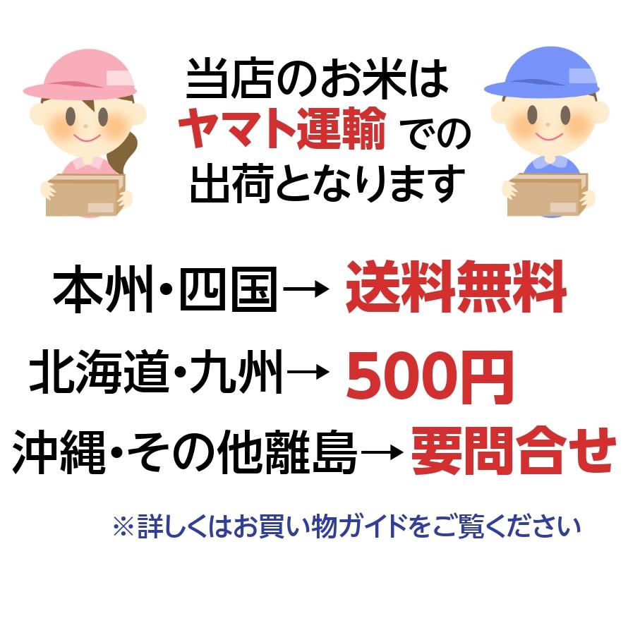 米 20kg お米 安い 訳アリ 白米 ブレンド米 いろどり 生活応援米 国内産 送料無料 一部地域除く｜okomenokimura｜08