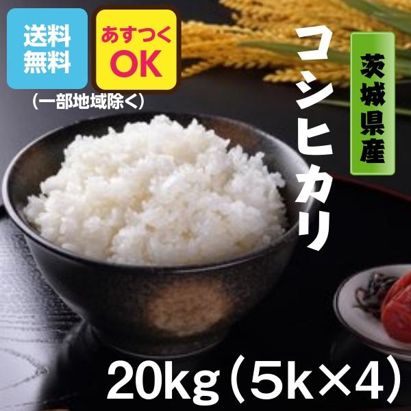 コシヒカリ　白米　20kg コシヒカリ 白米20kg