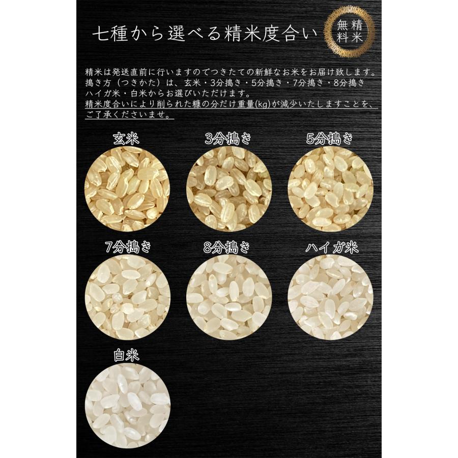 クーポンご利用で10％OFF 米 お米 5kg コシヒカリ 新潟県 上越産 令和4年産 玄米（5kg×真空パック1袋） 精米無料 真空パック無料 送料無料｜okomenoomise｜02