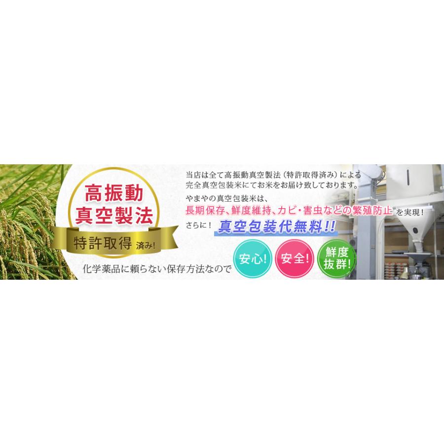コシヒカリ 玄米 30kg 真空パック(5kg×6袋)長野県 安曇野産 令 コシヒカリ 玄米 30kg 真空パック(5kg×6袋)長野県 安曇野産 令