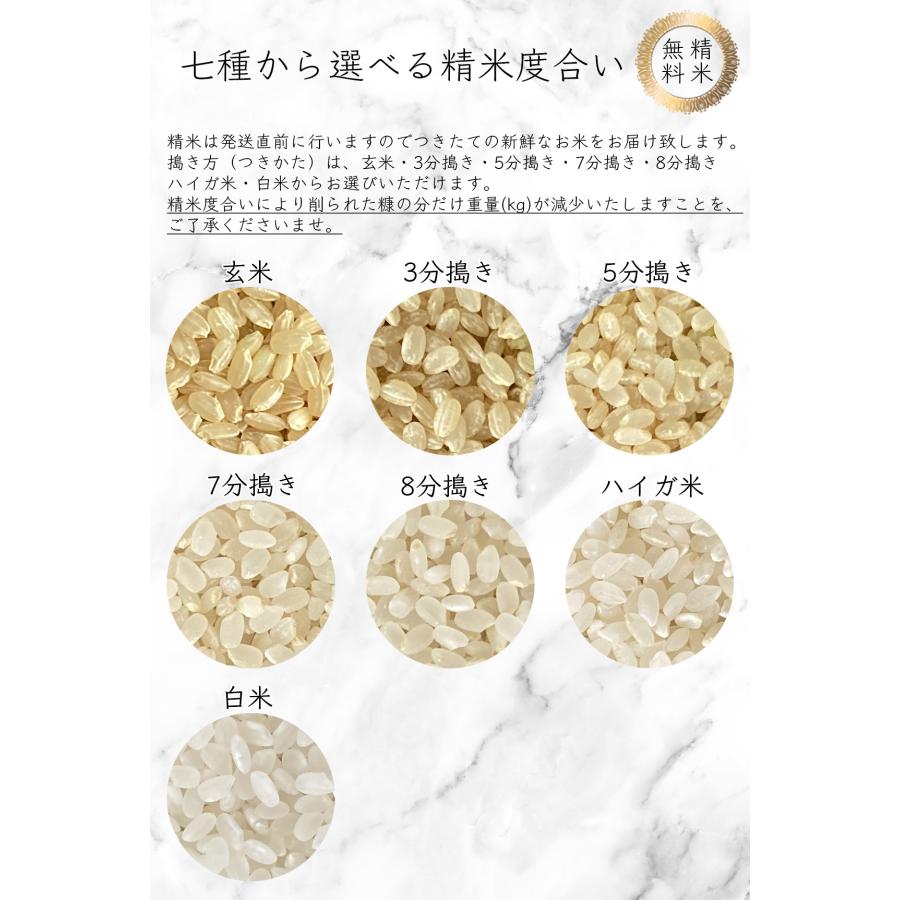 令和4年産 コシヒカリ 玄米 30kg 岐阜県産