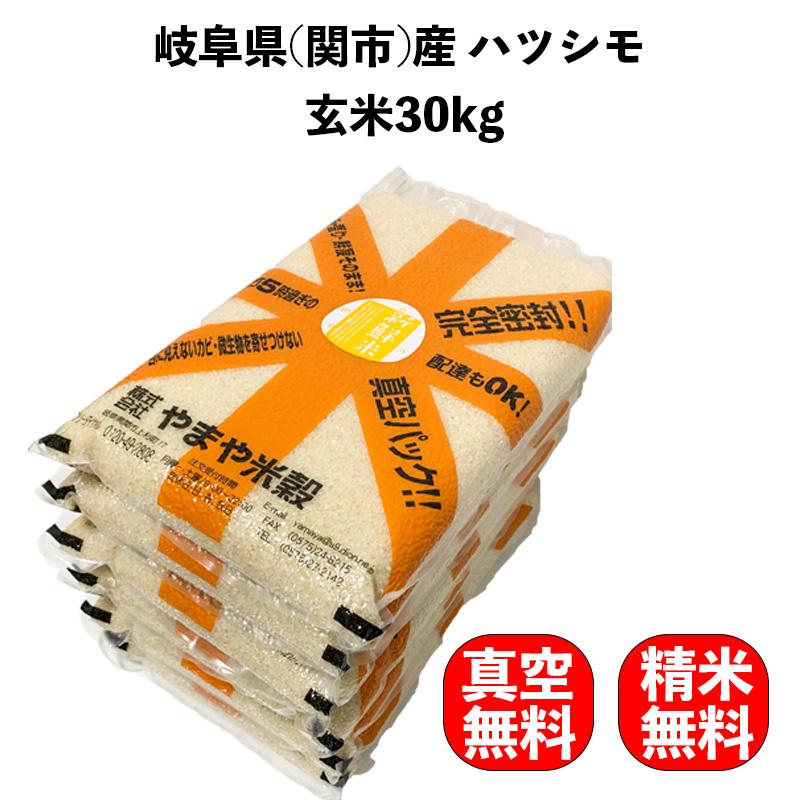 ハツシモ 米 30kg(5kg×真空パック6袋)お米 玄米 岐阜県(関市 ハツシモ 米 30kg(5kg×真空パック6袋)お米 玄米 岐阜県(関市