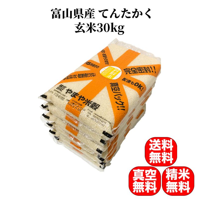 てんたかく 新米 令和5年産 米 30kg お米 玄米(5kg×真空パック6 てんたかく 新米 令和5年産 米 30kg お米 玄米(5kg×真空パック6