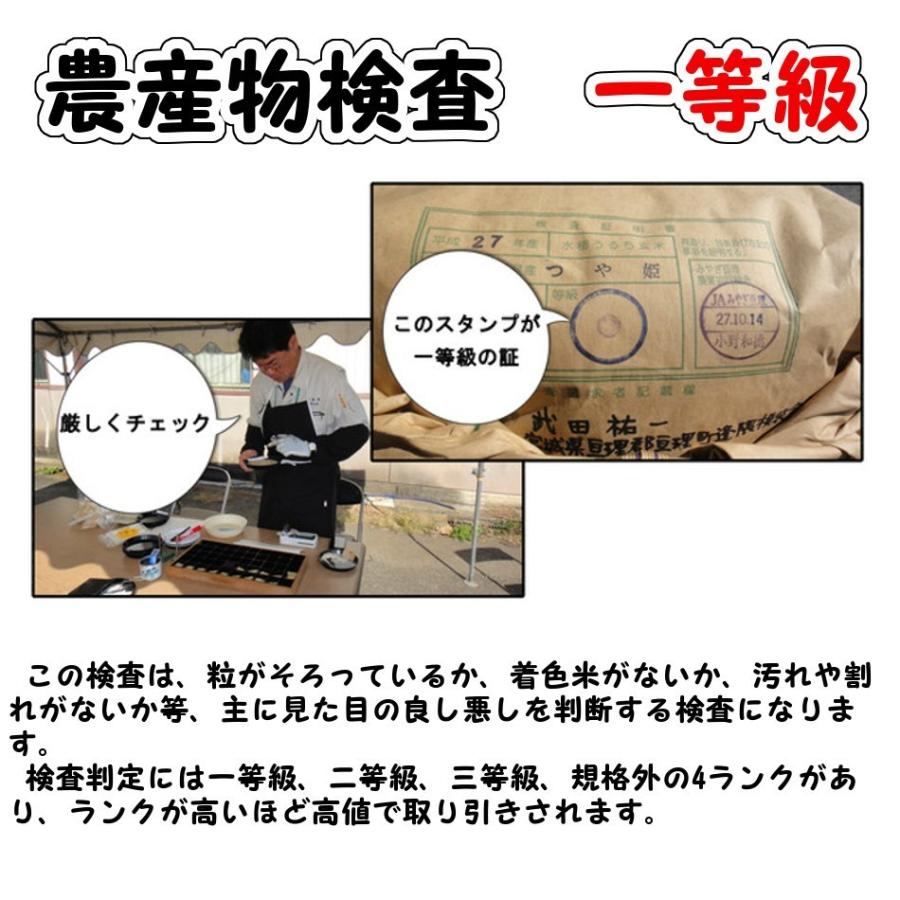 (送料無料)つや姫 玄米20kg 新米 令和5年産(環境保全米)農家直送｜okometyokubai｜03