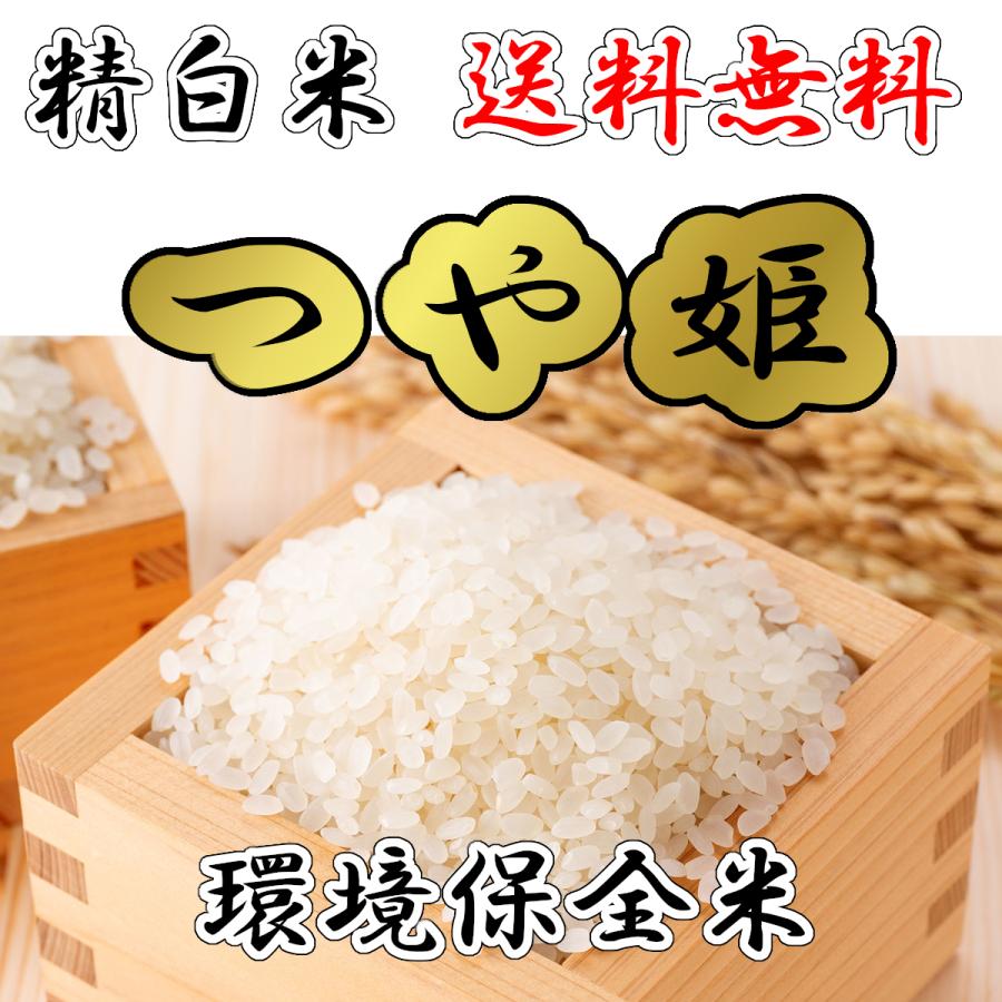 (送料無料)つや姫 精白米20kg 新米 令和7年産(環境保全米)農家直送