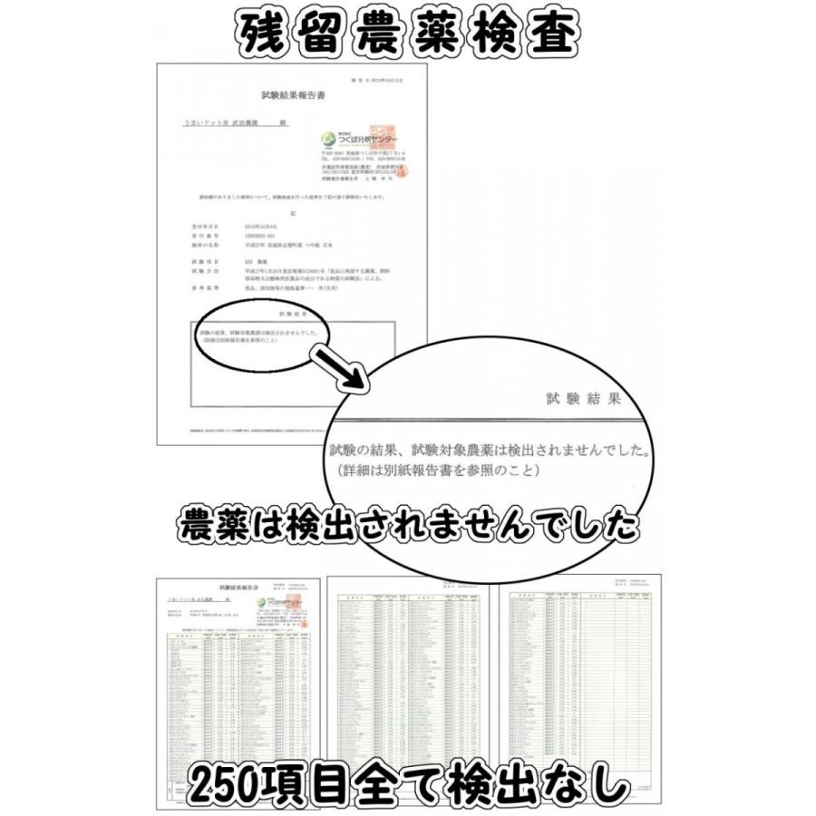 (送料無料)つや姫 精白米18kg 新米 令和４年産(環境保全米)農家直送｜okometyokubai｜04