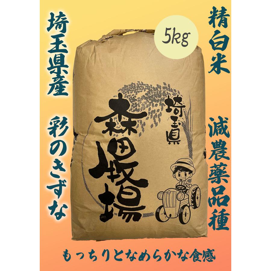 米 お米 5kg 彩のきずな 埼玉県産 白米 精米 ギフト｜okomeya-mk｜06