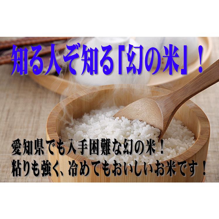 愛知県産ミネアサヒ10kg(5kg×2袋) ミネアサヒ 【送料無料】【幻の米