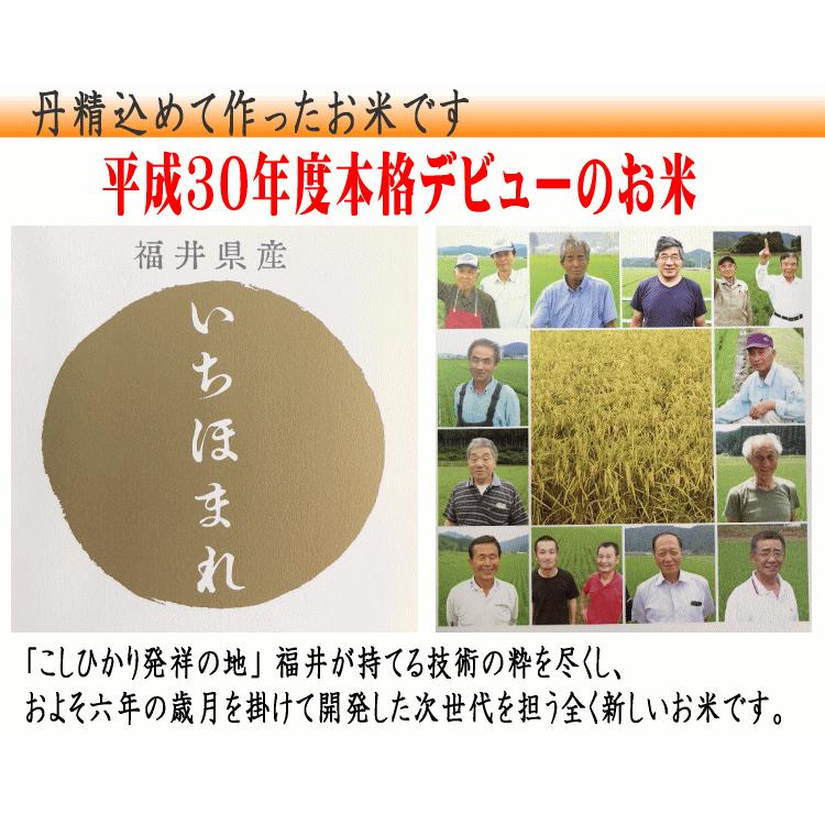 【満天★青空レストラン】【送料無料】【令和2年産】福井県産 いちほまれ 5kg 【北海道・沖縄県・離島は別途送料】 しゃべくり007｜okomeya2006｜07