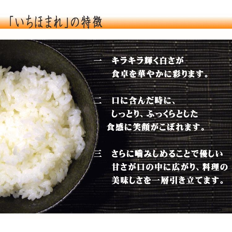 【満天★青空レストラン】【送料無料】【特別栽培米】【令和3年産】福井県産 いちほまれ 10kg(5kg×2) 【北海道・沖縄県・離島は別途送料】｜okomeya2006｜06