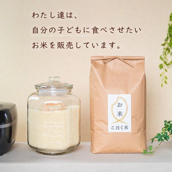 ミルキークイーン 令和4年 滋賀県湖北産 家倉さんのミルキー