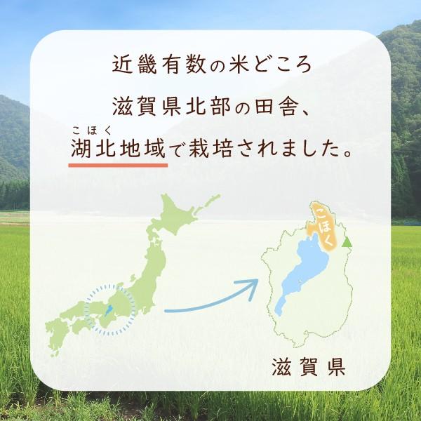 ミルキークイーン 令和6年 滋賀県湖北産 立見さんのミルキー ミルキークイーン 令和6年 滋賀県湖北産 立見さんのミルキー