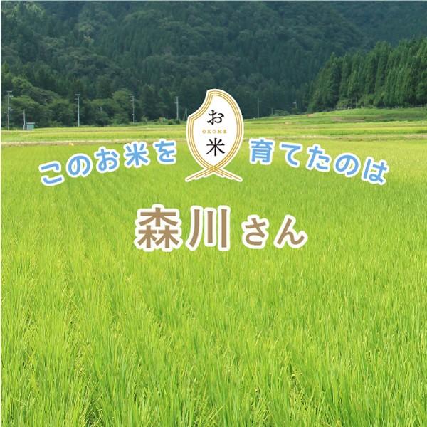 コシヒカリ 滋賀県湖北産 森川さんのコシヒカリ30kg 【JAS有機栽培米
