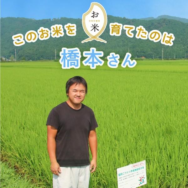 頑固オヤジのコシヒカリ　30kg　(滋賀湖北・減農薬) コシヒカリ 令和4年 滋賀県湖北産 橋本さんのコシヒカリ 30kg 【食味