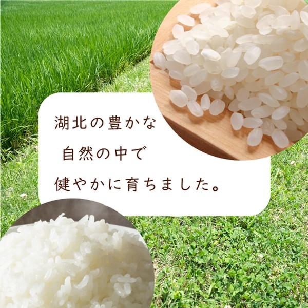 令和４年 滋賀県湖北産 橋本さんのミルキークイーン 10kg 【減農薬米】【白米・玄米】｜okomeyasan1｜11