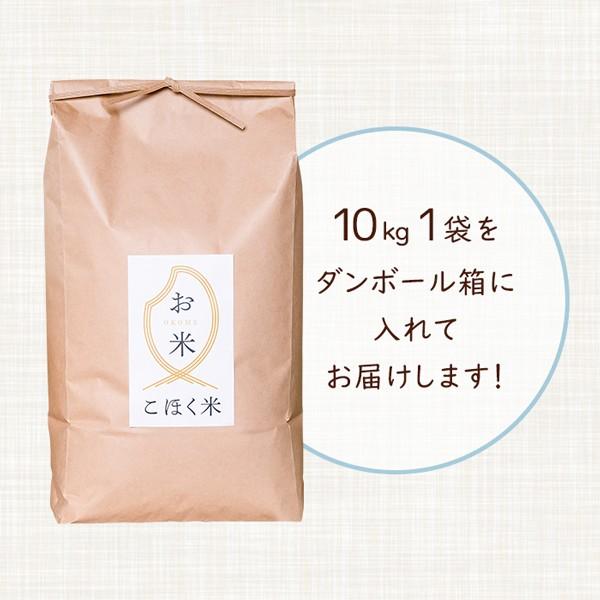 ミルキークイーン 令和4年 滋賀県湖北産 橋本さんのミルキークイーン