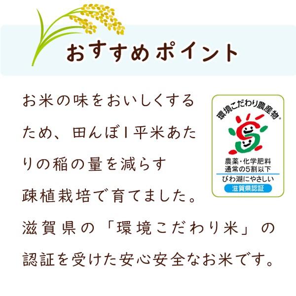 食味特A受賞記念！令和7年度伊賀産特別栽培米コシヒカリ 玄米10キロ 令和7年産 伊賀米コシヒカリ 玄米10kg (10kgx1袋or5kgx2袋) 選べる