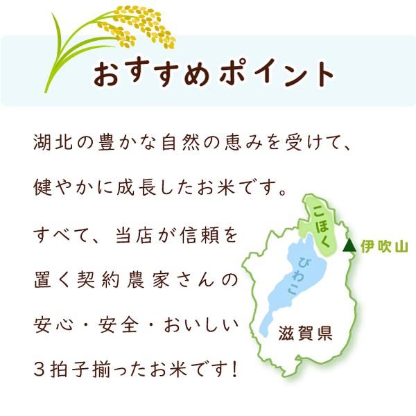 コシヒカリ 令和6年 滋賀県湖北産 湖北のコシヒカリ 10kg 減農薬米