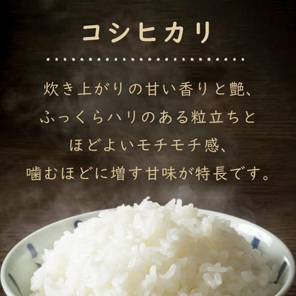 コシヒカリ 令和6年 滋賀県湖北産 湖北のコシヒカリ 20kg 減 コシヒカリ 令和6年 滋賀県湖北産 湖北のコシヒカリ 20kg 減