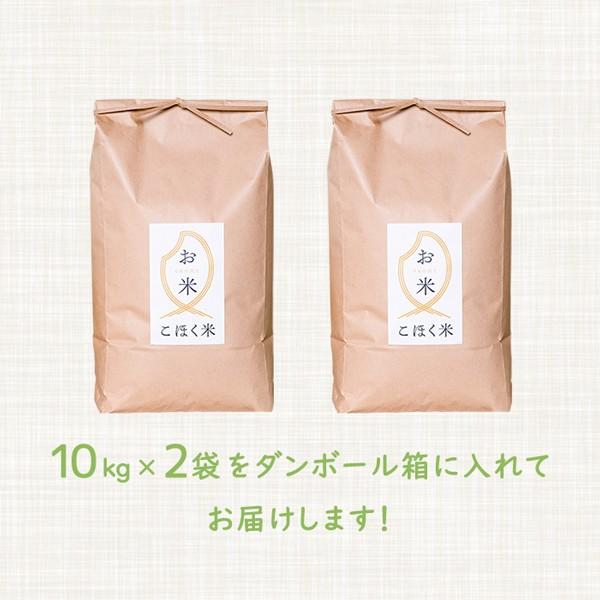 コシヒカリ 令和6年 滋賀県湖北産 湖北のコシヒカリ 20kg 減 コシヒカリ 令和6年 滋賀県湖北産 湖北のコシヒカリ 20kg 減