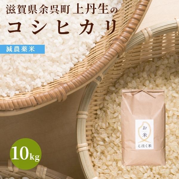 令和５年 滋賀県余呉町産 上丹生のコシヒカリ 10kg 【食味最高ランク特A 3年連続受賞・減農薬】【白米・玄米】｜okomeyasan1