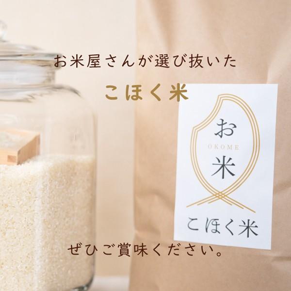 コシヒカリ 令和6年 滋賀県余呉町産 上丹生のコシヒカリ 10kg 食味