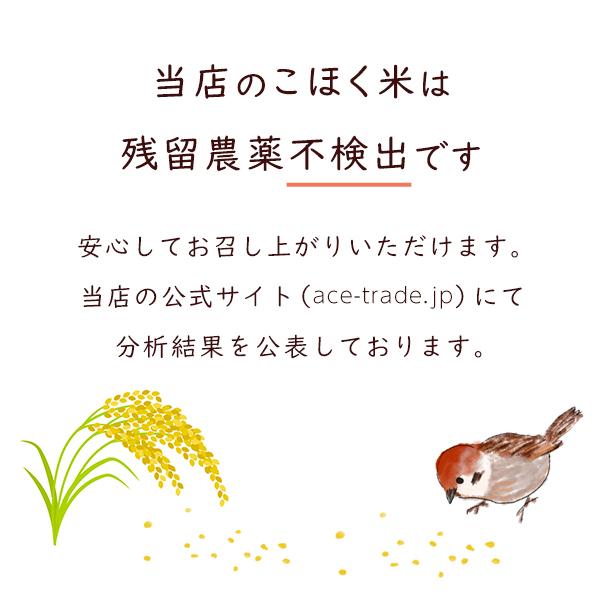 令和４年 滋賀県湖北産 田中さんのミルキークイーン 10kg 【環境