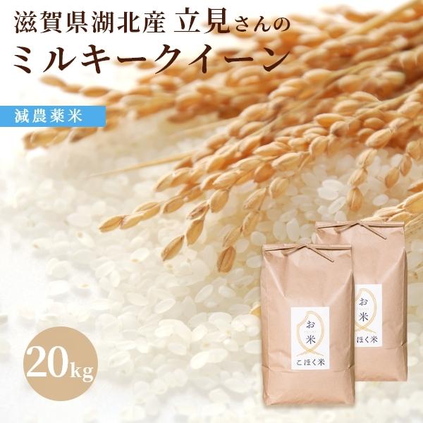 令和７年　滋賀県湖北産　立見さんのミルキークイーン 20kg 　減農薬米　選べる白米玄米 | ミルキークイーン