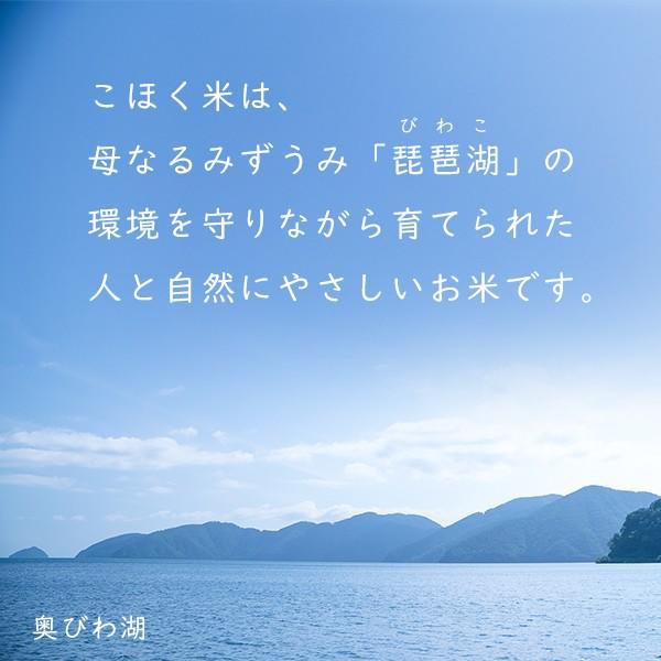 令和７年　滋賀県湖北産　立見さんのミルキークイーン 20kg 　減農薬米　選べる白米玄米 | ミルキークイーン | 02