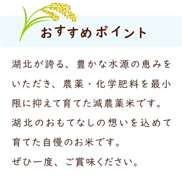 令和７年　滋賀県湖北産　立見さんのミルキークイーン 20kg 　減農薬米　選べる白米玄米 | ミルキークイーン | 09