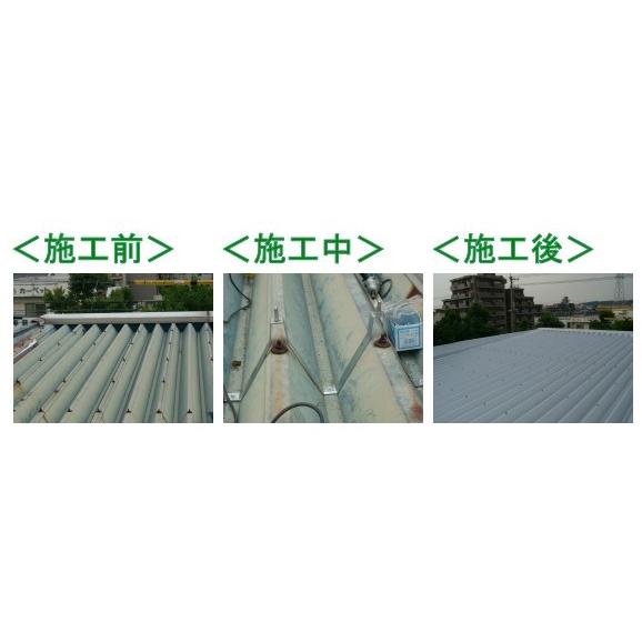 葺替金具 ふき葺2型 （ハイセット付） 重ね式折板用 88タイプ用　サカタ製作所 |  | 01