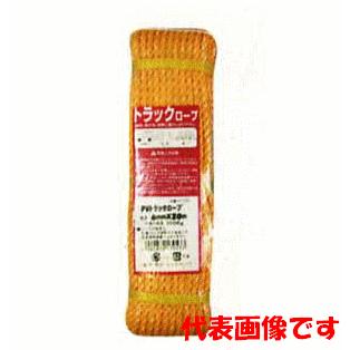 KP トラックロープ 9mm×30m　アイネット | 